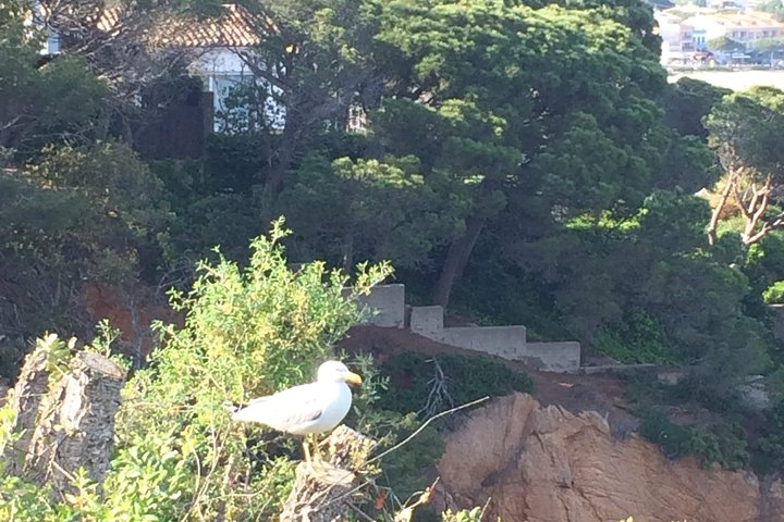 Tour Costa Brava - Imagen 7