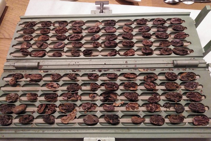 Degustación de Chocolates - Imagen 8